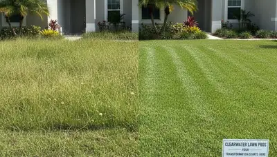 Before and after lawn mowing showing lush green yard transformation in Clearwater, FL by Chop Chop Landscaping